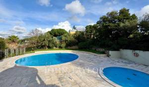 Arrendar Apartamento Avenidas Novas