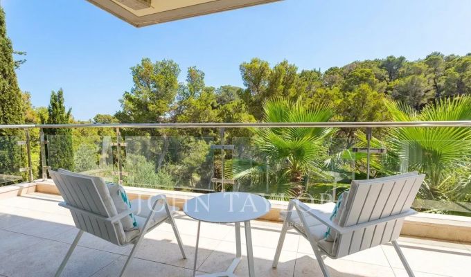 Arrendar Apartamento Cas Català