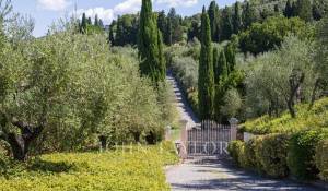 Arrendar Apartamento Firenze