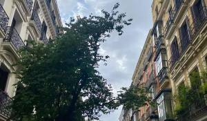 Arrendar Apartamento Madrid