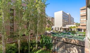 Arrendar Apartamento Madrid