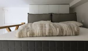 Arrendar Apartamento Monaco