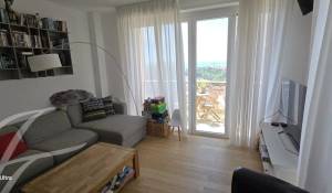 Arrendar Apartamento Monaco