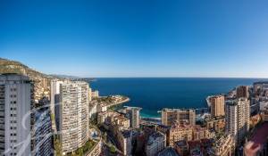 Arrendar Apartamento Monaco