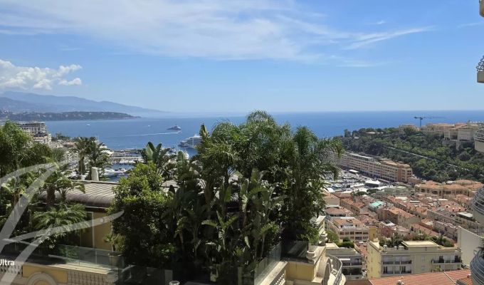 Arrendar Apartamento Monaco