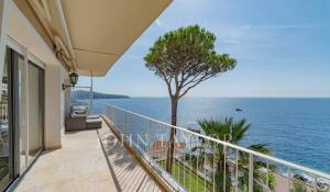 Arrendar Apartamento Nice