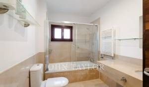Arrendar Apartamento Palma de Mallorca
