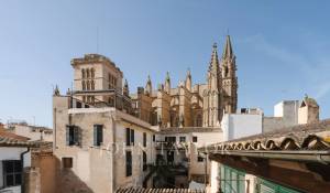 Arrendar Apartamento Palma de Mallorca