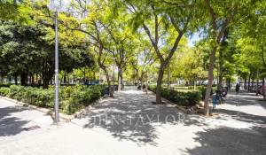 Arrendar Apartamento Palma de Mallorca