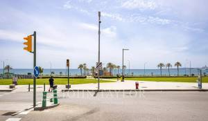 Arrendar Apartamento Palma de Mallorca