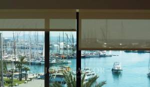 Arrendar Apartamento Palma de Mallorca