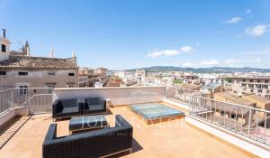 Arrendar Apartamento Palma de Mallorca