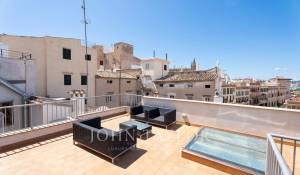 Arrendar Apartamento Palma de Mallorca