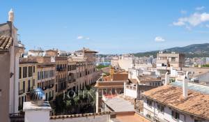 Arrendar Apartamento Palma de Mallorca