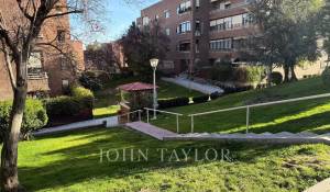 Arrendar Apartamento Pozuelo de Alarcón