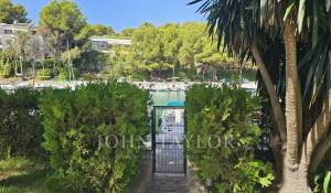 Arrendar Apartamento Santa Ponsa