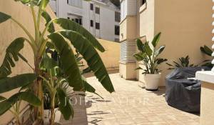Arrendar Apartamento Santa Ponsa