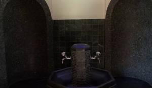 Arrendar Quinta/Herdade Saanen