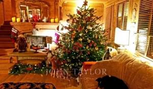 Arrendar Quinta/Herdade Saanen