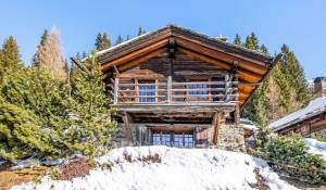 Arrendar Quinta/Herdade Verbier