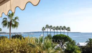 Arrendamento de curta duraçāo Apartamento Cannes