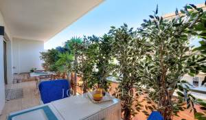 Arrendamento de curta duraçāo Apartamento Cannes