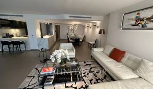 Arrendamento de curta duraçāo Apartamento Cannes