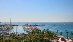 Arrendamento de curta duraçāo Apartamento Cannes