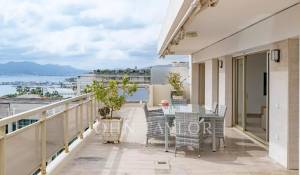 Arrendamento de curta duraçāo Apartamento Cannes