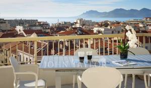 Arrendamento de curta duraçāo Apartamento Cannes