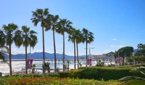 Arrendamento de curta duraçāo Apartamento Cannes