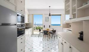 Arrendamento de curta duraçāo Apartamento Cannes