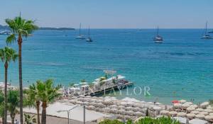 Arrendamento de curta duraçāo Apartamento Cannes