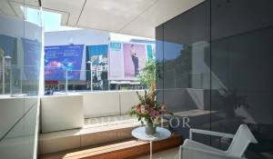 Arrendamento de curta duraçāo Apartamento Cannes