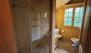 Arrendamento de curta duraçāo Quinta/Herdade Gstaad