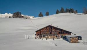Arrendamento de curta duraçāo Quinta/Herdade Rougemont