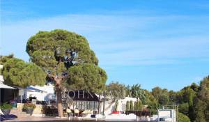 Arrendamento de curta duraçāo Moradia Cap Martinet