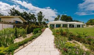 Arrendamento de curta duraçāo Moradia Carvalhal