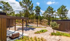 Arrendamento de curta duraçāo Moradia Carvalhal