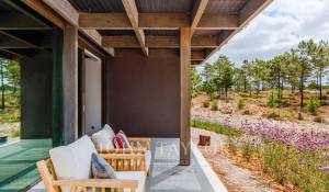 Arrendamento de curta duraçāo Moradia Carvalhal