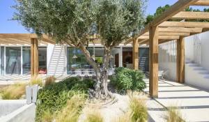 Arrendamento de curta duraçāo Moradia Carvalhal