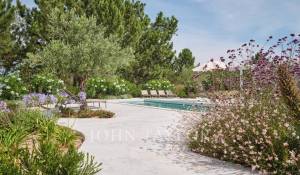 Arrendamento de curta duraçāo Moradia Carvalhal