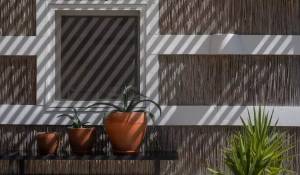 Arrendamento de curta duraçāo Moradia Comporta