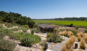 Arrendamento de curta duraçāo Moradia Comporta