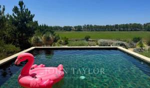 Arrendamento de curta duraçāo Moradia Comporta