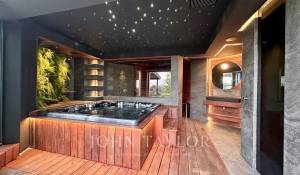 Arrendamento de curta duraçāo Moradia Mougins