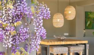 Arrendamento de curta duraçāo Moradia Valbonne