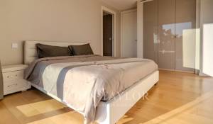 Arrendamento de curta duraçāo Moradia Valbonne