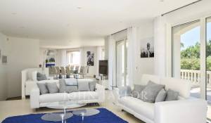 Arrendamento de curta duraçāo Propriedade Cannes