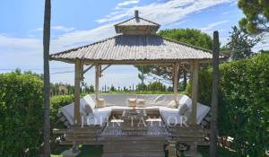 Arrendamento de curta duraçāo Propriedade Cannes